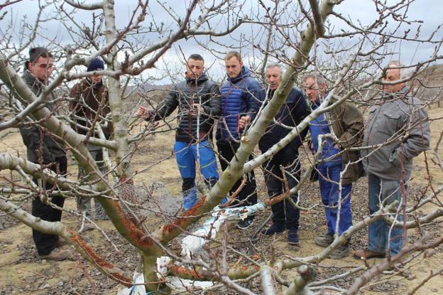 La fauna no da tregua al agricultor