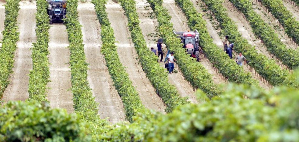 El campo mantiene el ritmo