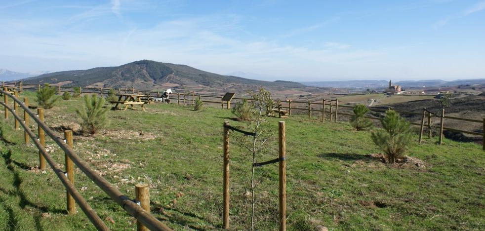 Nájera quiere homenajear a 62 fusilados durante la Guerra Civil