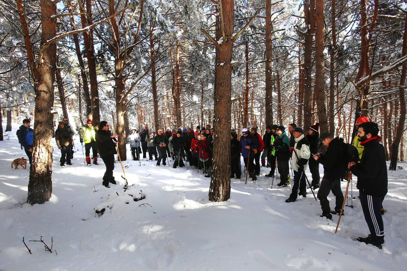 La XII edición del Sendero a las Neveras de Moncalvillo en Sojuela