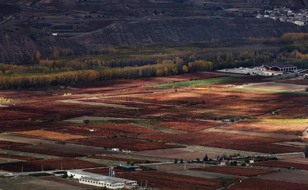 Uruñuela potencia el enoturismo con un proyecto de cultura agrícola tradicional