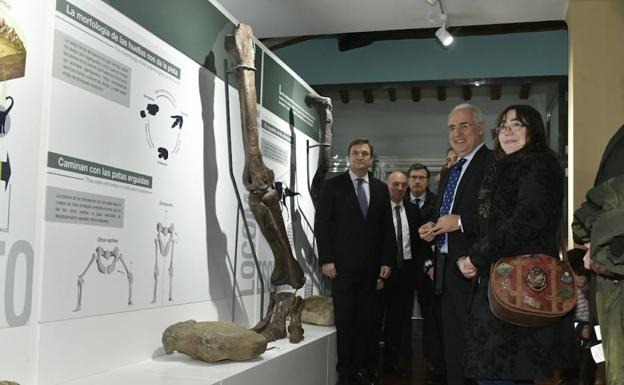 El Centro Paleontológico de Enciso apuesta por dar realce a las piezas originales