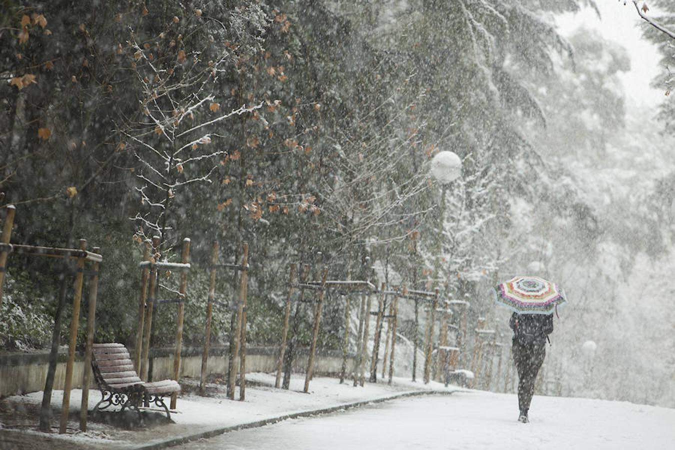 La nevada en imágenes