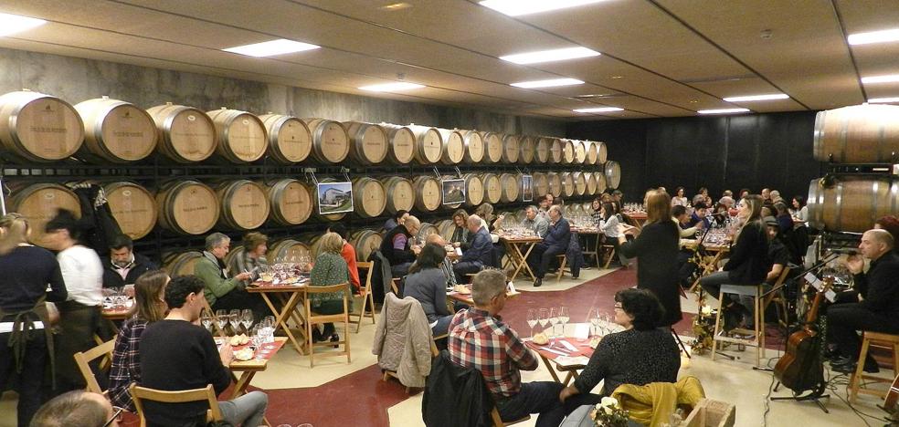 Catas de aceite en Finca de los Arandinos