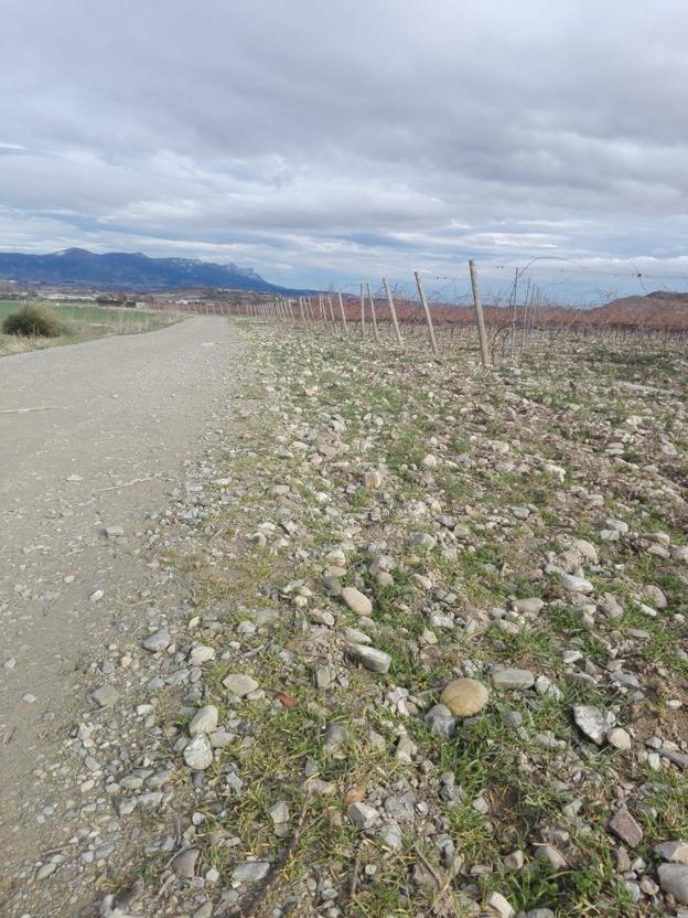 Haro arreglará cuatro caminos rurales en abril con una partida de 130.000 euros