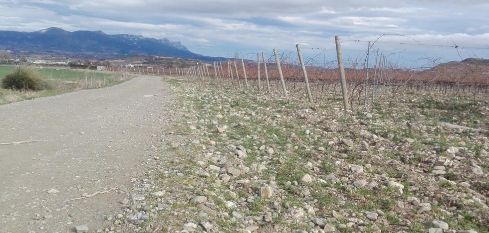 Haro arreglará cuatro caminos rurales en abril con una partida de 130.000 euros