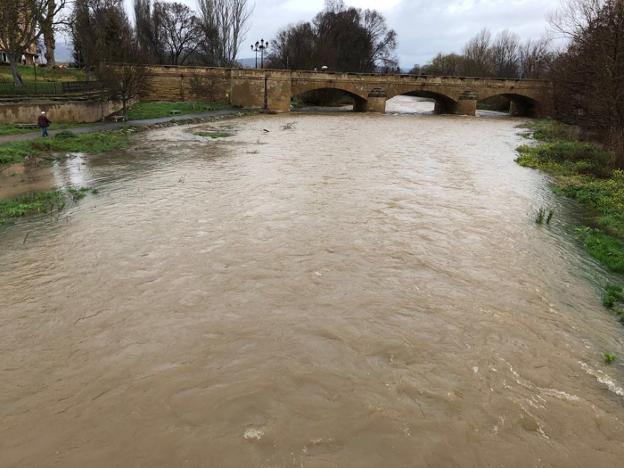 Alerta en Haro y su comarca por las crecidas de los ríos Ebro y Oja