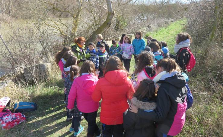 Regenerando los Sotos en Alfaro