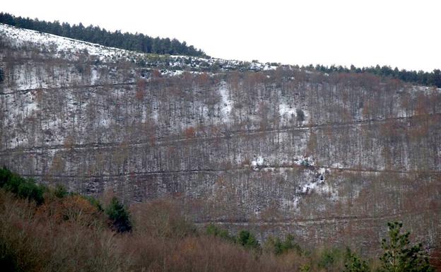 Medio Ambiente subvenciona el desarrollo y ordenación de los bosques en zonas rurales