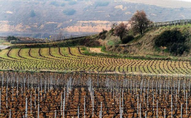 Jornada de reflexión sobre el mundo rural de La Rioja