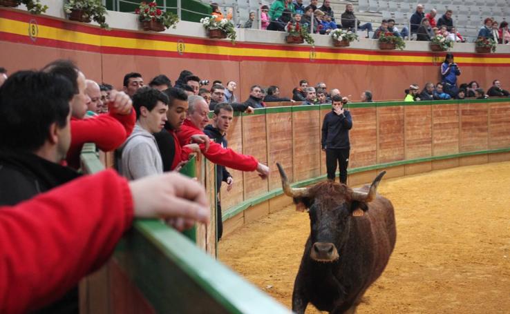 Fiestas en Arnedo por San José (sábado)