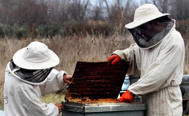 El BOE publica la rebaja de la base imponible para los agricultores por un valor de 580 millones