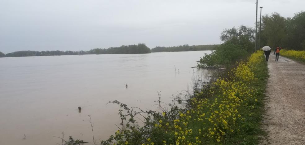 El mazón aguanta en Alfaro