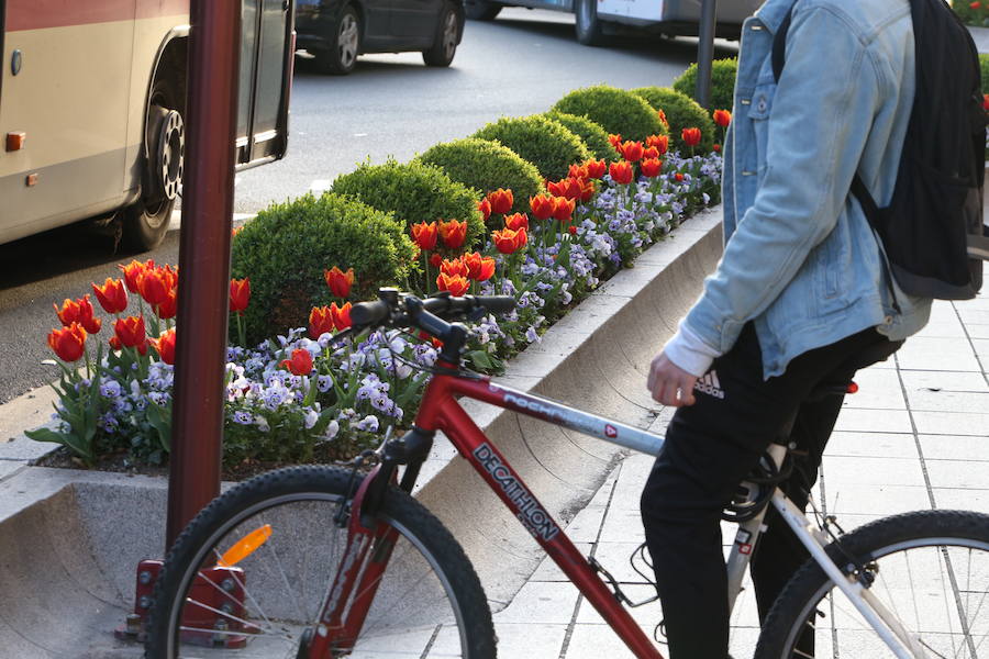 Despierta la primavera en Logroño