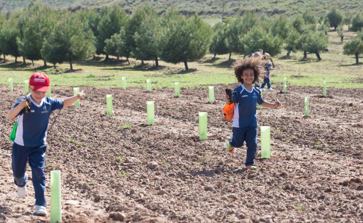 Los niños plantan sus árboles en La Grajera