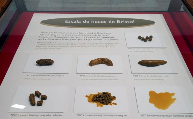 Uno de los expositores de la exposición de la Casa de las Ciencias./Juan Marín