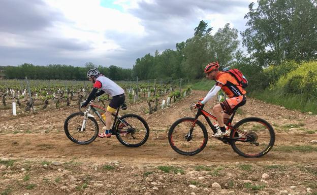 Van der Poel y Hovdenak dominan la segunda etapa