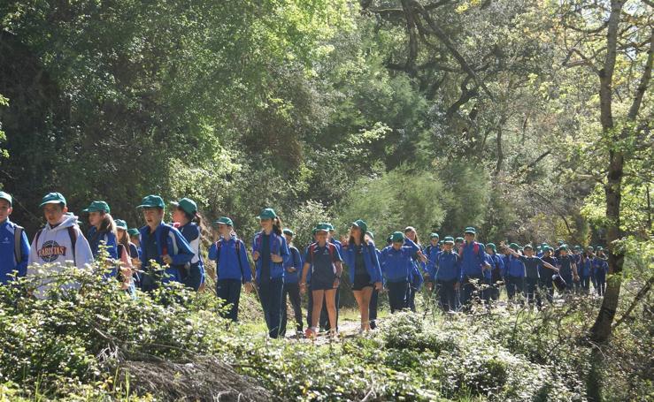 Peregrinación de escolares a Valvanera