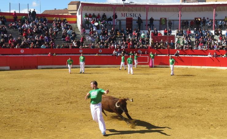 Alfaro despide sus fiestas de primavera