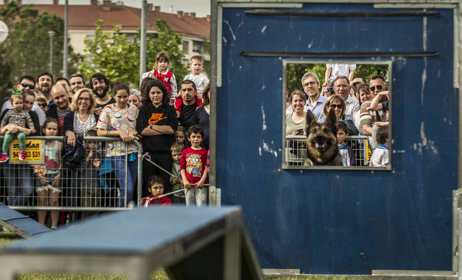 El Ejército se deja notar en Logroño