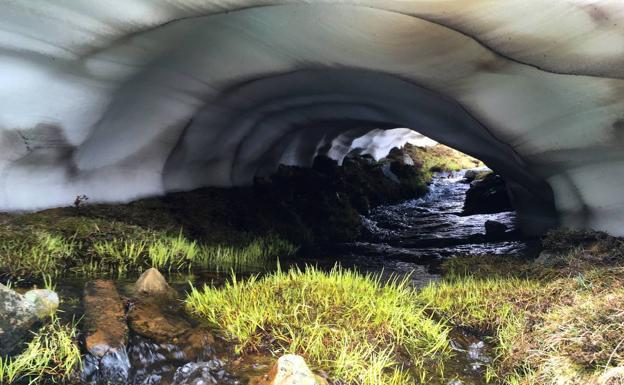 Despierta el Urbión