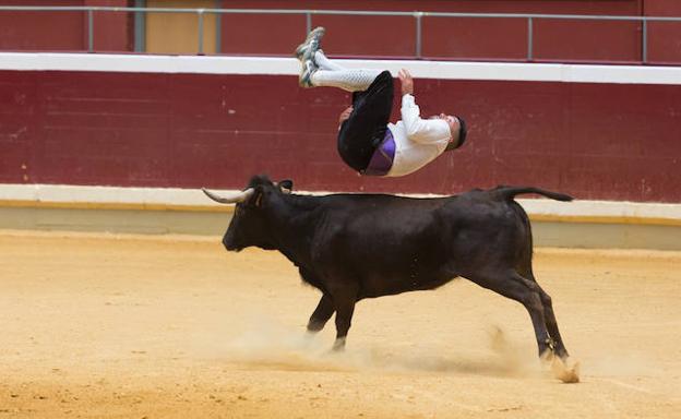 Espectáculo de recortadores y vaquillas en La Ribera