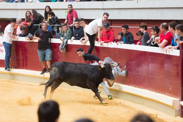 Logroño cumple con el patrón