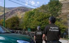 C's pide más plazas de forestales y una ley para el colectivo