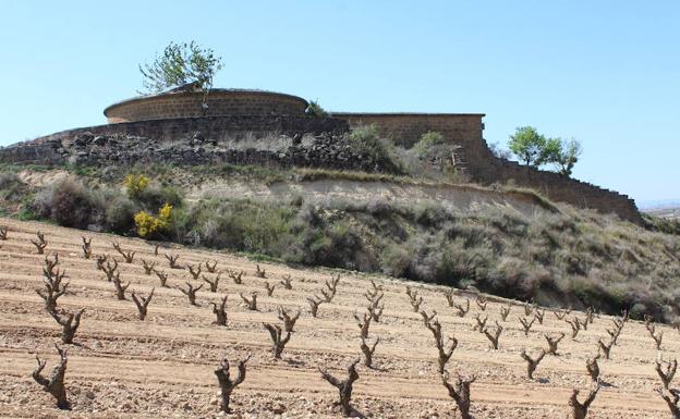 El sector vitivinícola riojano recibirá 6,8 millones de euros para promoción del vino