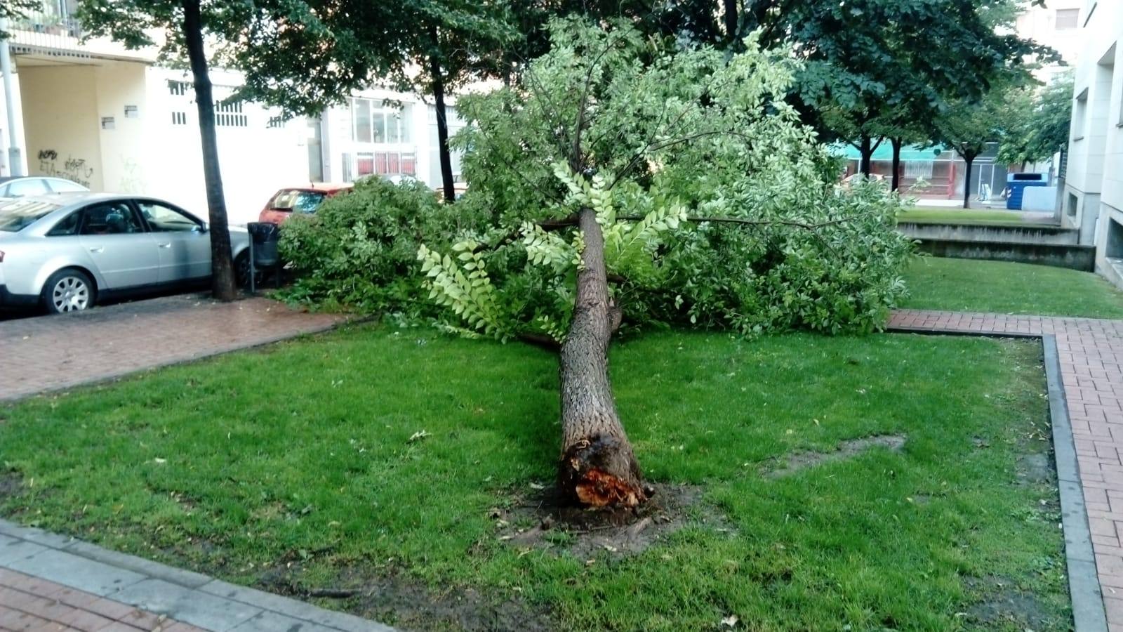 Las fotos de la tormenta