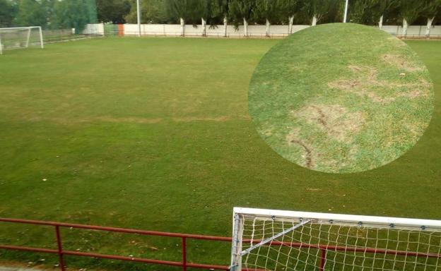Actos vandálicos en el campo de hierba natural del Mundial 82