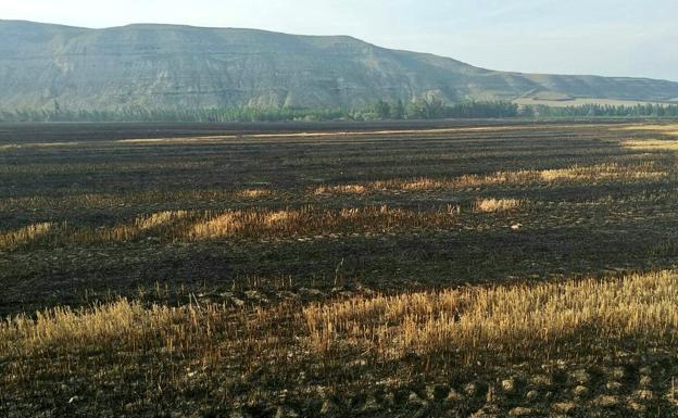 Un incendio quema 27 hectáreas en Tormantos