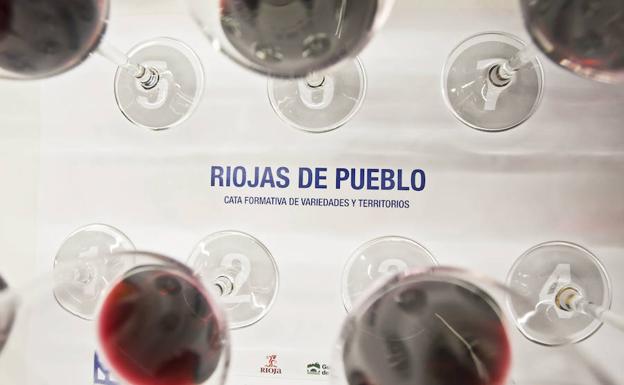 Bodegas Familiares de Rioja pide amparo político al Ministerio de Agricultura