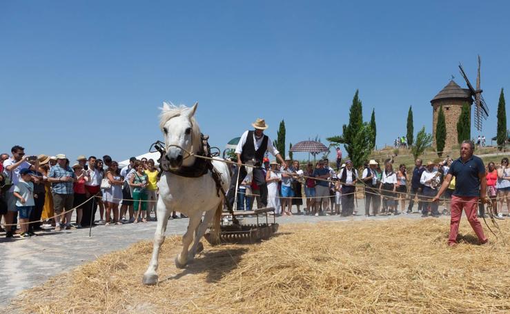 La Fiesta de la Molienda