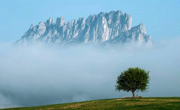 La exposición itinerante sobre la Naturaleza de La Rioja llega a Haro