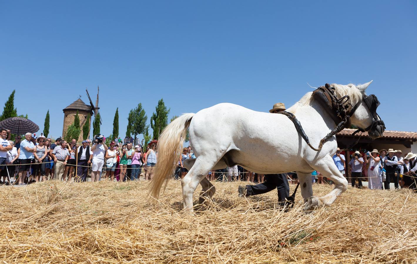 La Fiesta de la Molienda