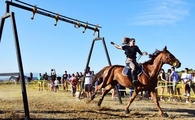 Nalda corre sus gallos en femenino