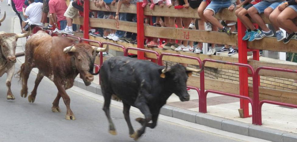 Dos heridos en el encierro de Alfaro