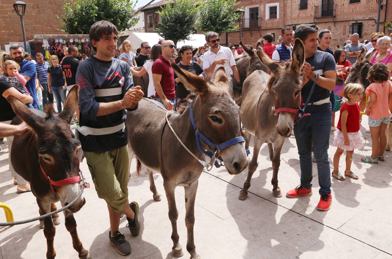 Carrera de Burros de Tricio
