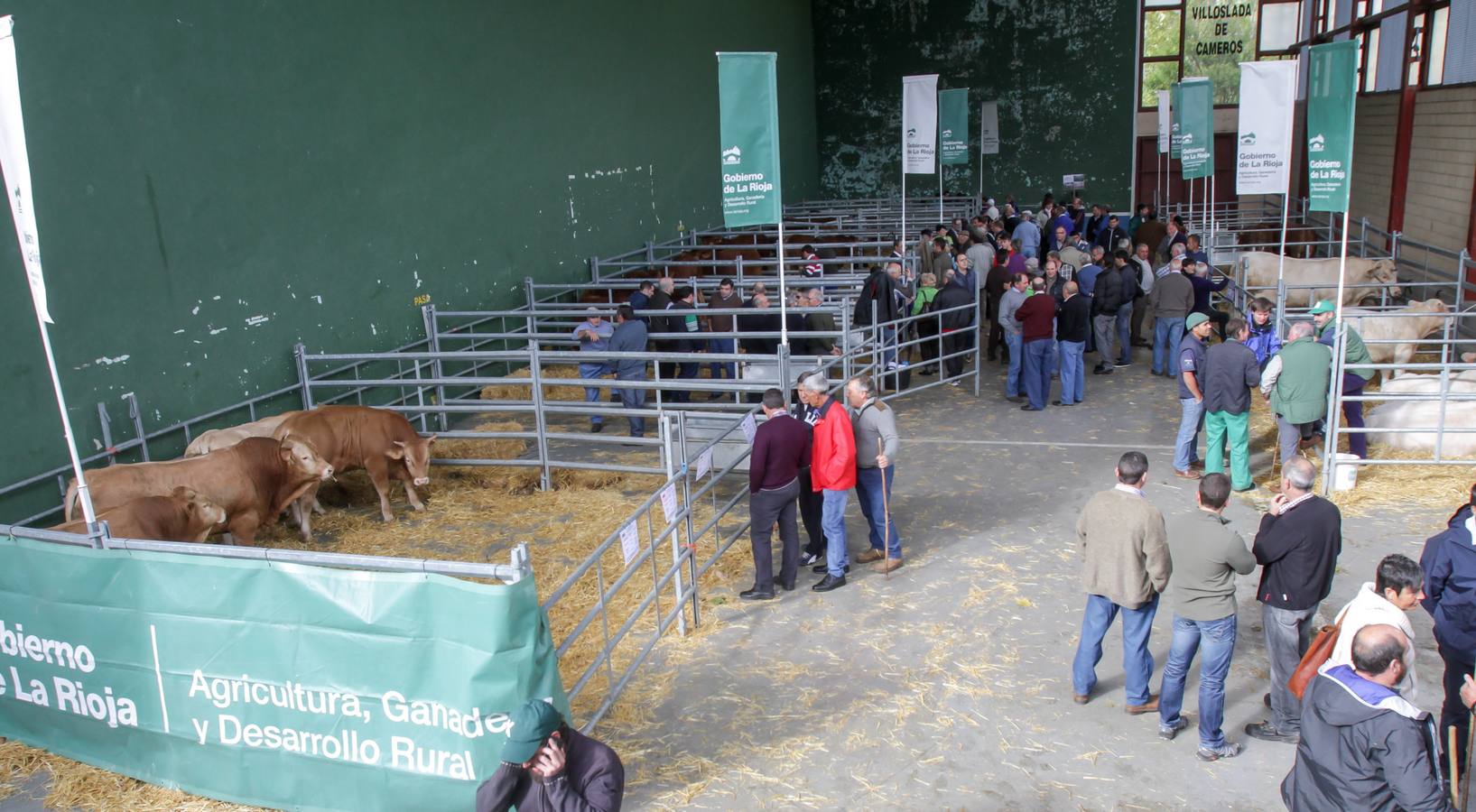 Más de 2.000 cabezas de ganado en la Feria de Villoslada