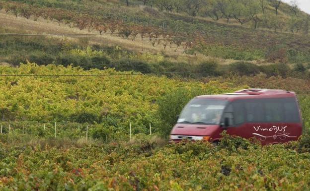 Cinco nuevas bodegas se unen al 'Vinobús' de La Rioja