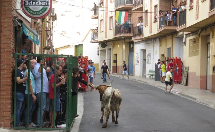 Alfaro despide sus fiestas por la Virgen del Burgo