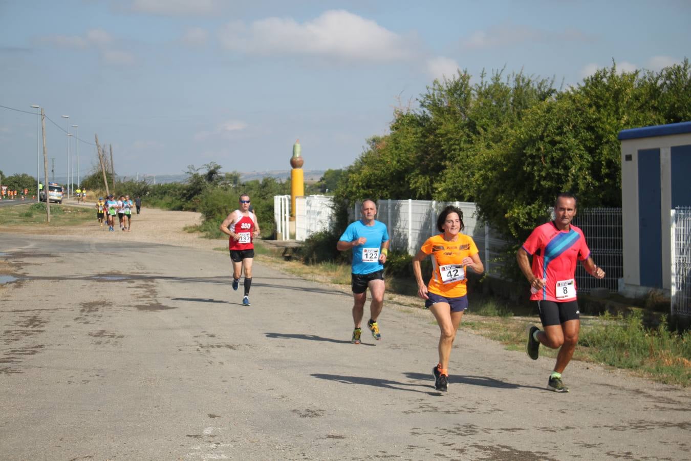 La X Ruta Jacobea del Ebro reúne a 200 corredores