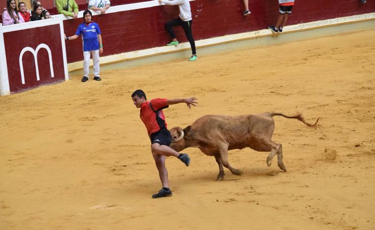 Domingo de vaquillas