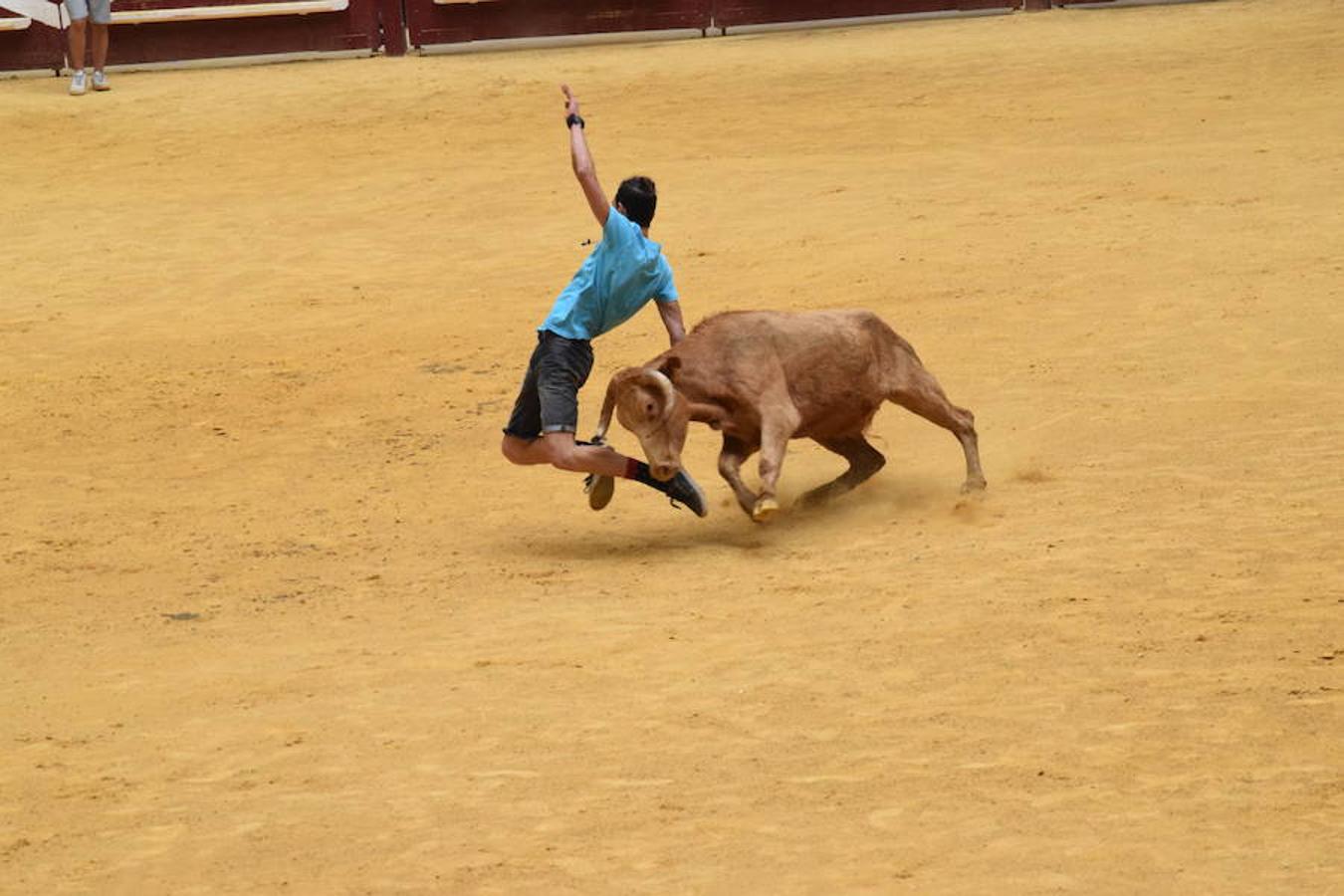 Mujeres recortadoras en la plaza