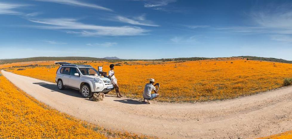 Las flores del desierto del Kalahari