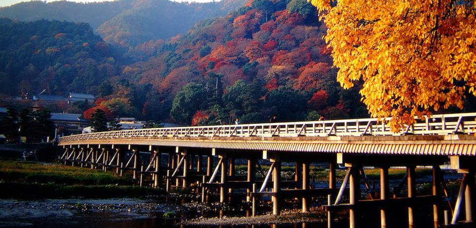 Japón, el placer de la caída de las hojas