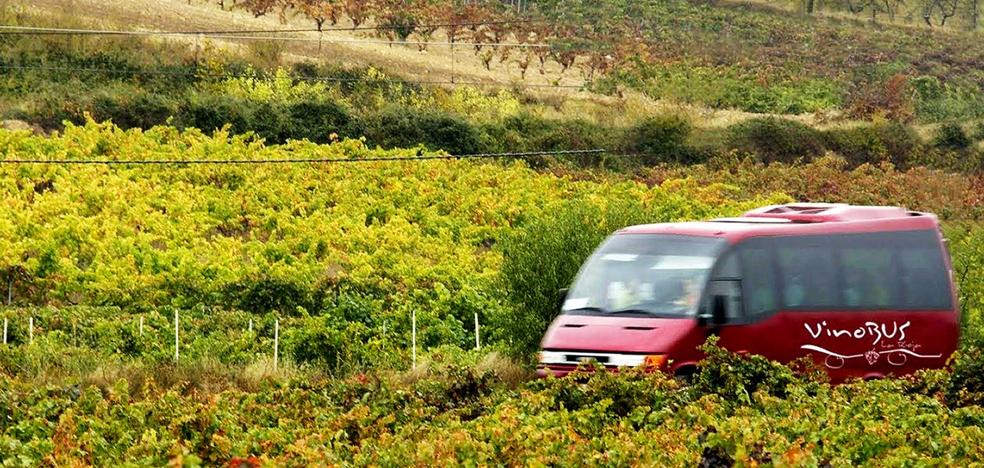 El tour de las bodegas