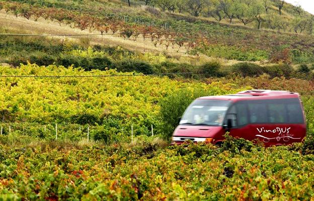 El tour de las bodegas