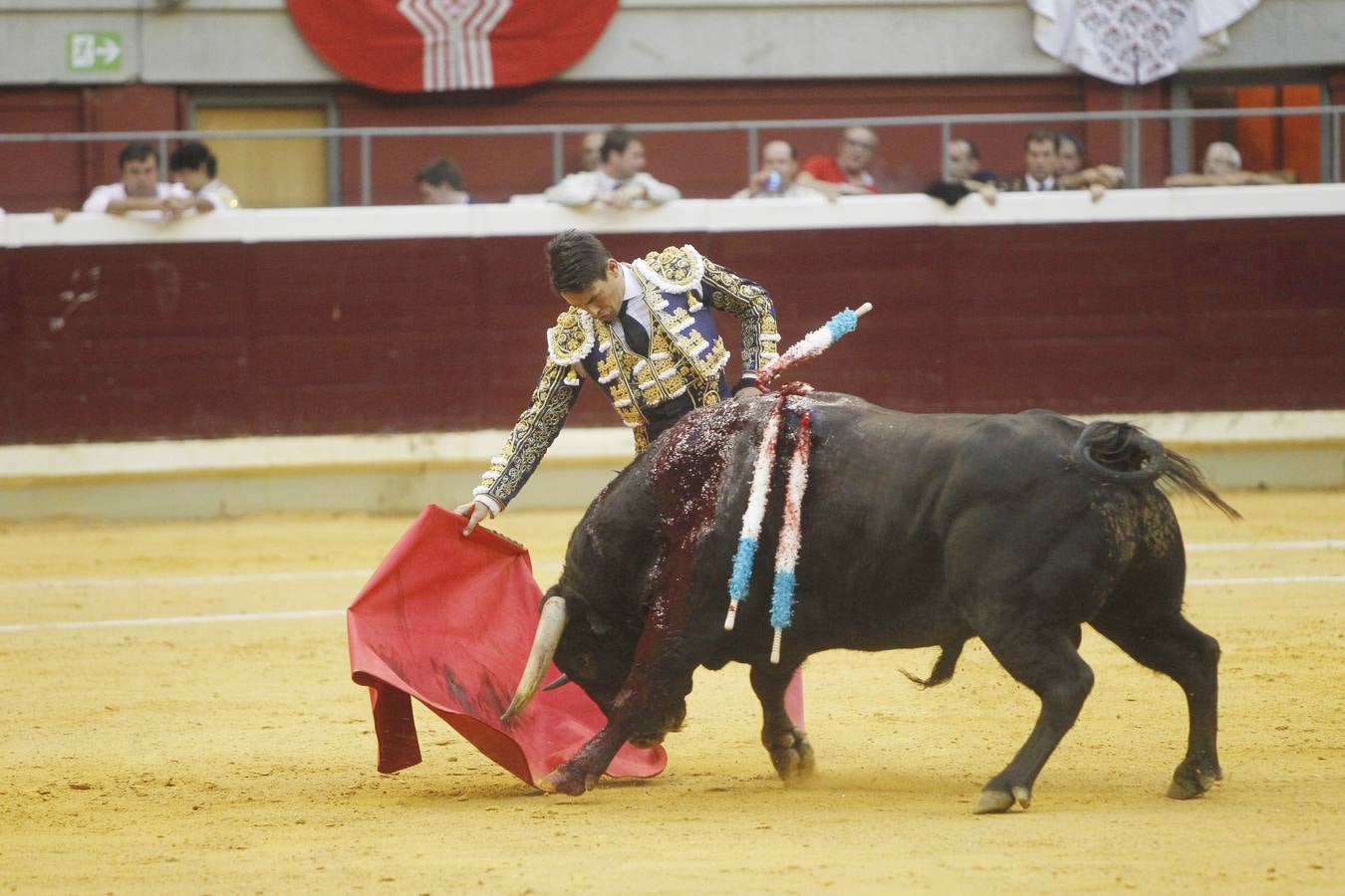 Las fotos de los toros